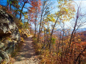 a pciture of a section on the Appalachian Trail in the fall.