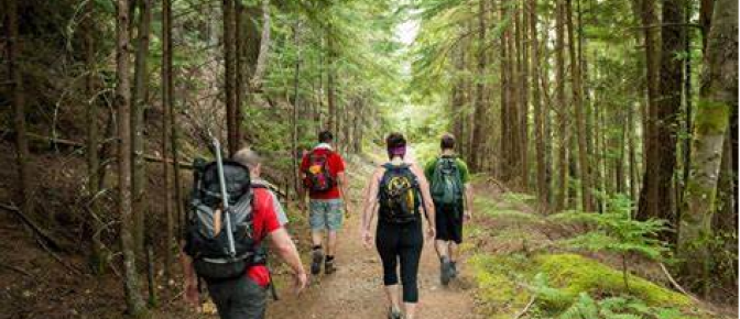 A group of four peple hiking through the forest.