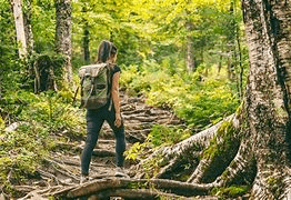 Picture of a woman hiking in the forest.